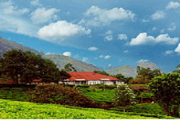 Munnar_City (28)